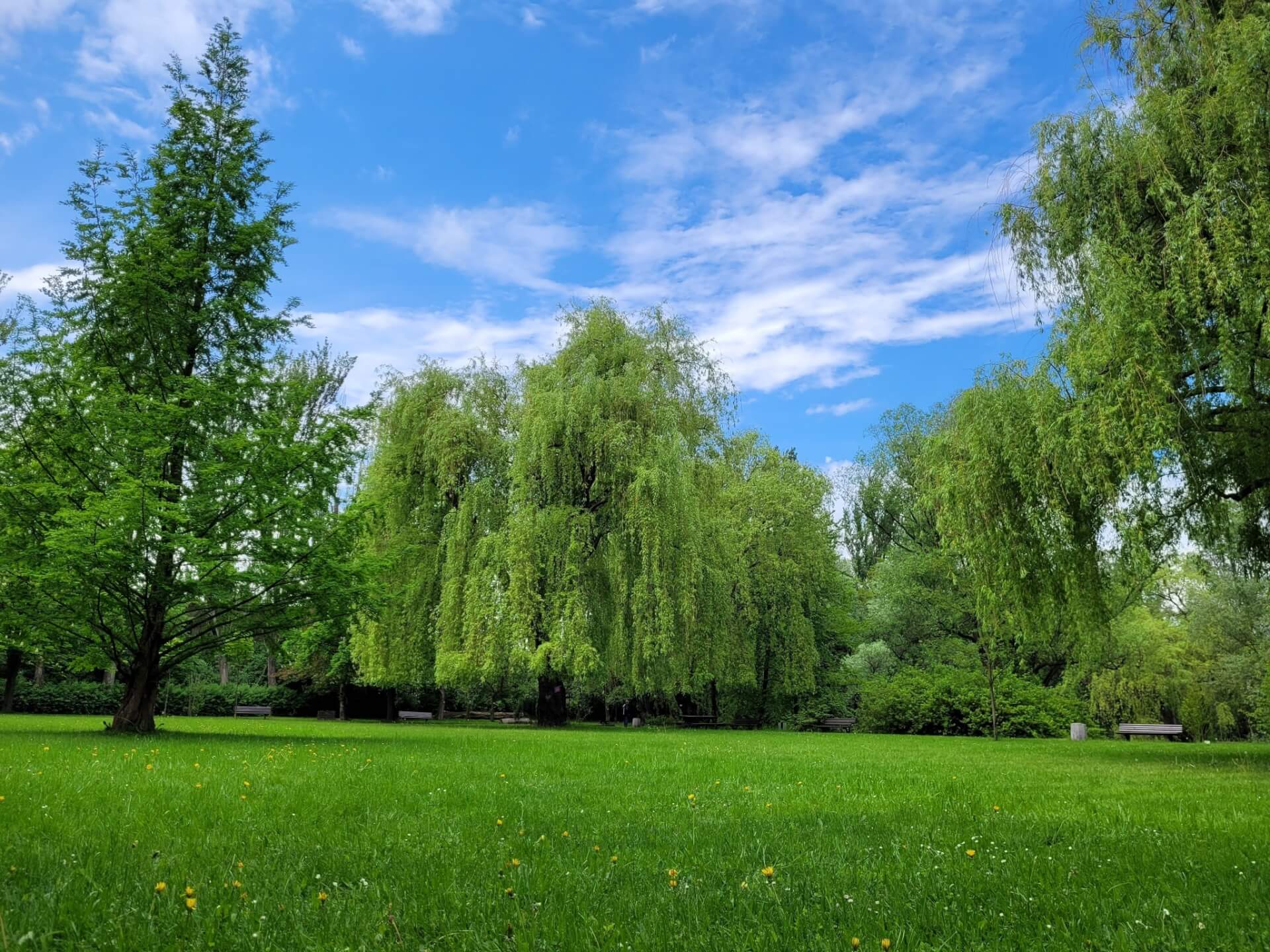 Miejski Ogród Botaniczny w Zabrzu