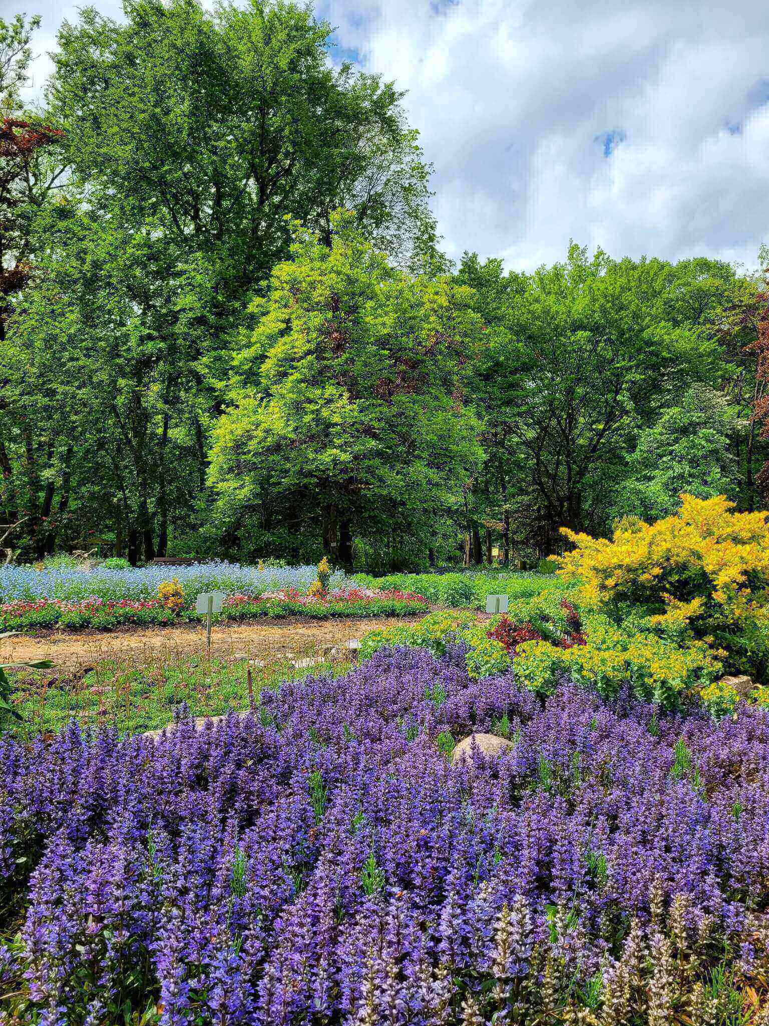 Miejski Ogród Botaniczny w Zabrzu