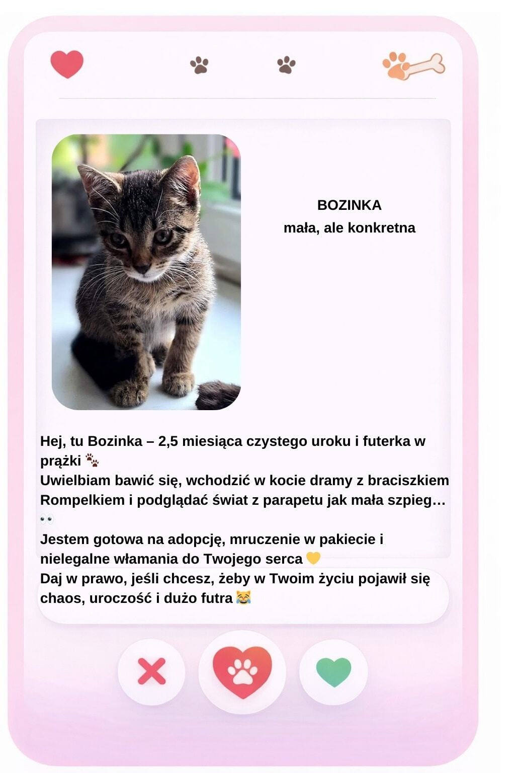 Walentynki w schronisku Psitulmnie w Zabrzu